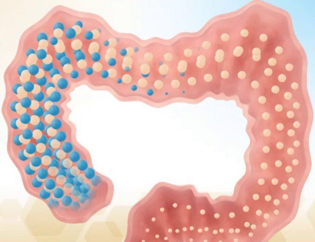 probiyotik_prebiyotik